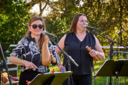 Concert, Pan Vaca