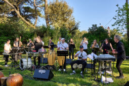 Concert, Pan Vaca