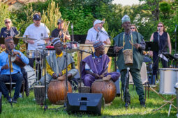 Concert, Pan Vaca, Tambours de Maradi