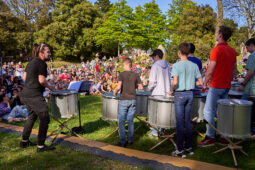 Concert, Pan Vaca, Public