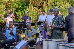 Concert, Pan Vaca, Tambours de Maradi