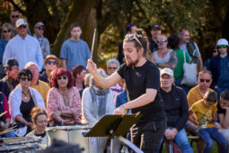 Concert, Pan Vaca, Public