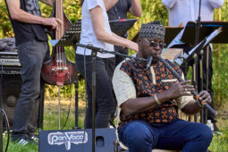 Concert, Pan Vaca, Tambours de Maradi
