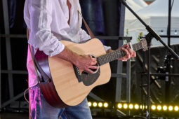 Charles Fardin, Concert