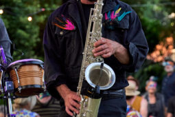 Cie Sapage Nocturne, Concert