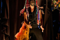 Cie Sapage Nocturne, Concert