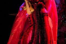 Cie Sapage Nocturne, Concert