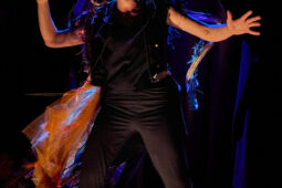 Cie Sapage Nocturne, Concert