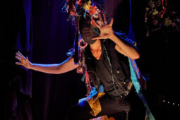 Cie Sapage Nocturne, Concert