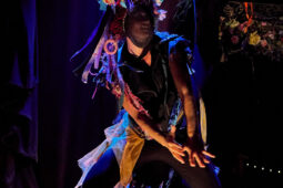Cie Sapage Nocturne, Concert