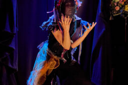 Cie Sapage Nocturne, Concert