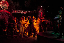 Cie Sapage Nocturne, Concert, Public
