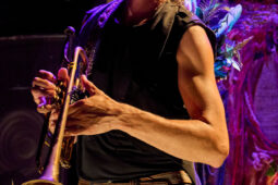 Cie Sapage Nocturne, Concert