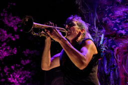 Cie Sapage Nocturne, Concert