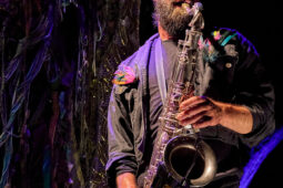 Cie Sapage Nocturne, Concert