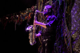 Cie Sapage Nocturne, Concert