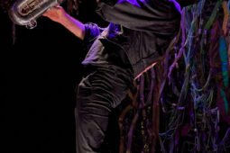 Cie Sapage Nocturne, Concert