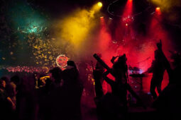 Cie Sapage Nocturne, Concert, Public