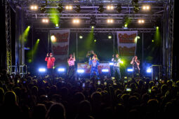 Collectif Métissé, Public, Concert