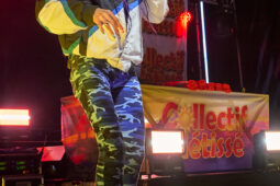 Collectif Métissé, Concert