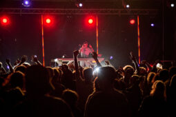 DJ Deeace, Festival, Public, Concert