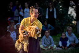 Les Gums, Spectacle, Public