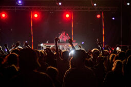 DJ Deeace, Public, Festival, Concert
