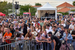 Charles Fardin, Public, Festival, Concert
