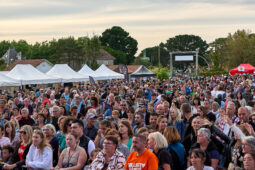 Charles Fardin, Public, Festival, Concert