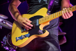 No More Winters, Concert