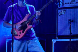 Concert, Silica Gel