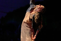 Minuit Compagnie, Spectacle