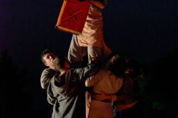 Minuit Compagnie, Spectacle