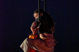 Minuit Compagnie, Spectacle