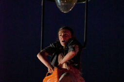 Minuit Compagnie, Spectacle