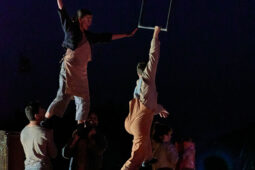 Minuit Compagnie, Spectacle