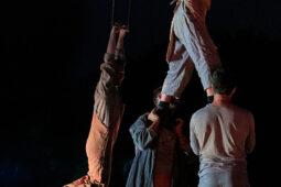 Minuit Compagnie, Spectacle