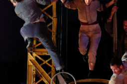 Minuit Compagnie, Spectacle