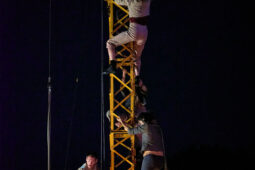 Minuit Compagnie, Spectacle