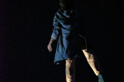 Minuit Compagnie, Spectacle
