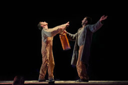 Minuit Compagnie, Spectacle