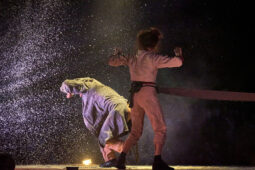Minuit Compagnie, Spectacle