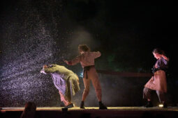 Minuit Compagnie, Spectacle