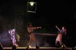 Minuit Compagnie, Spectacle