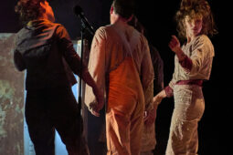 Minuit Compagnie, Spectacle