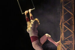 Minuit Compagnie, Spectacle