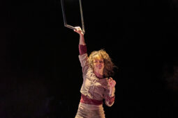 Minuit Compagnie, Spectacle