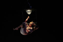 Minuit Compagnie, Spectacle