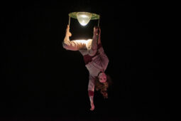 Minuit Compagnie, Spectacle