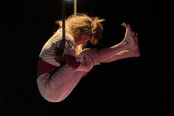 Minuit Compagnie, Spectacle